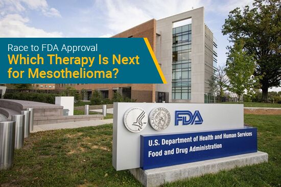 Which Therapy is Next for FDA Approval for Mesothelioma
