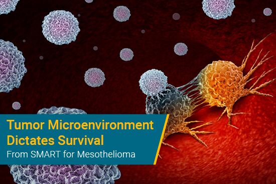 Tumor Microenvironment Dictates Mesothelioma Survival With SMART
