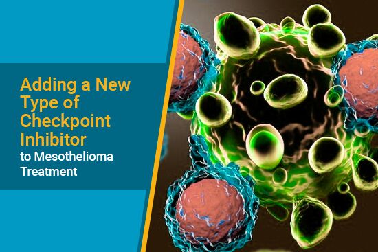 Checkpoint Inhibitor for Mesothelioma Treatment