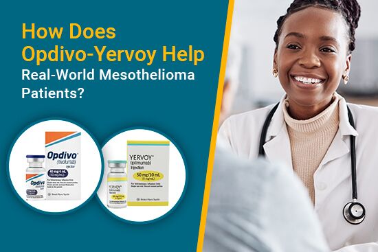 Opdivo and Yervoy for mesothelioma immunotherapy