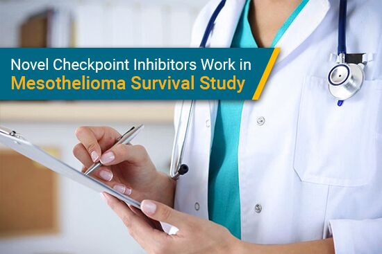 Novel Checkpoint Inhibitors Work for Malignant Mesothelioma Survival