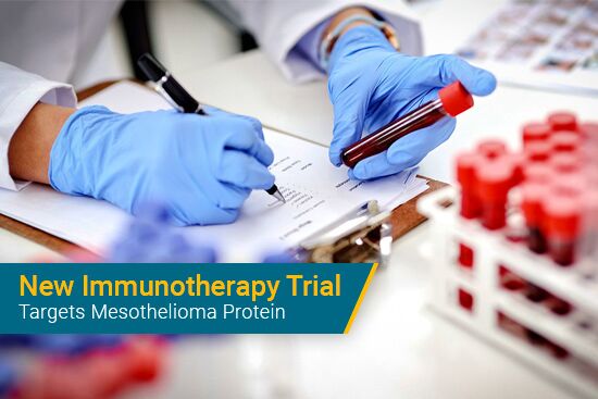 immunotherapy clinical trial targets mesothelin