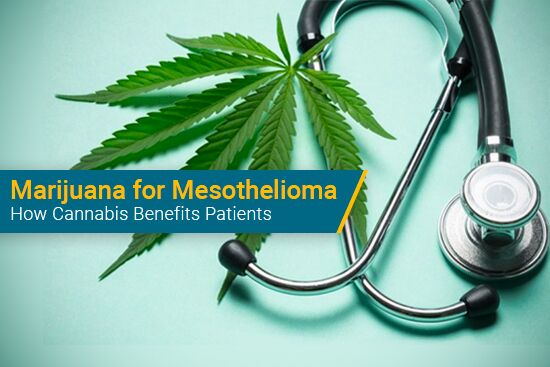 Marijuana for Mesothelioma Patients and Treatment
