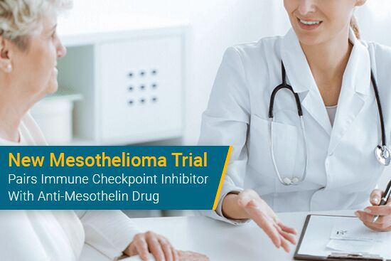 New Mesothelioma Trial Pairs Immune Checkpoint Inhibitor With Anti-Mesothelin Drug