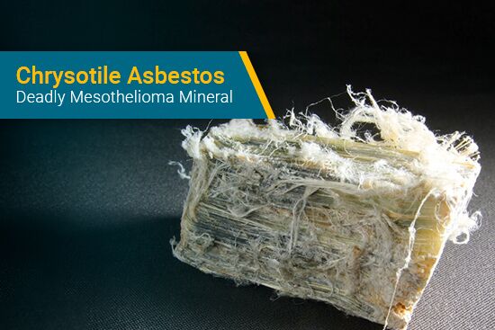 Chrysotile Asbestos