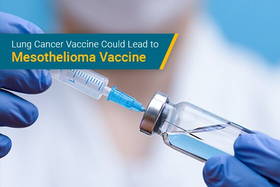 Lung cancer vaccine could lead to mesothelioma vaccine