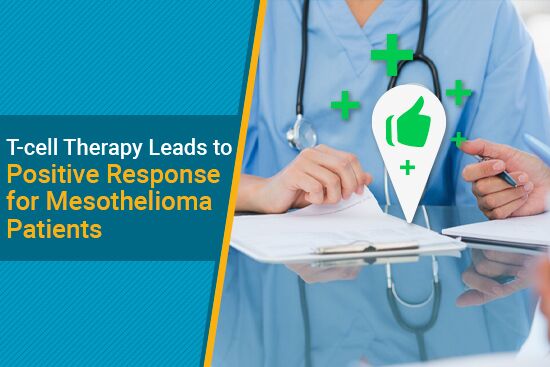 Using a t-cell receptor therapy for mesothelioma cancer