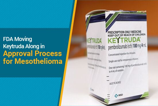 Keytruda pembrolizumab immunotherapy for cancer in FDA review for mesothelioma 2024