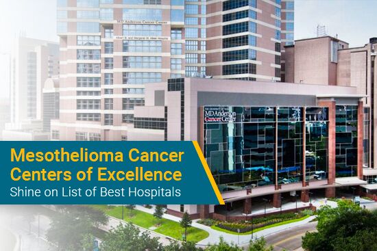 2024-2025 best hospitals in America mesothelioma cancer centers
